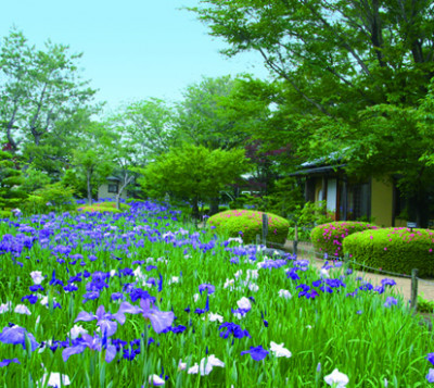 ひなた宮崎県総合運動公園