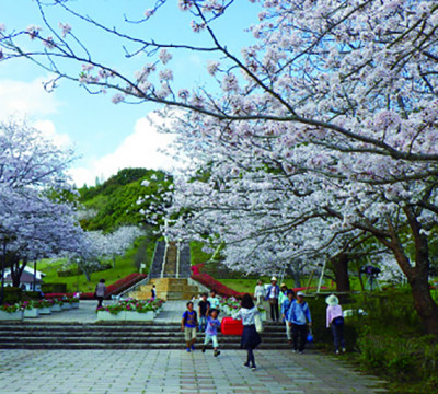 宮崎市久峰総合公園